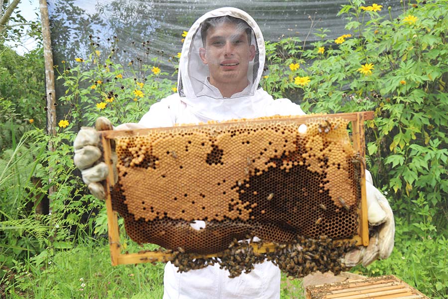 Miel, polen, propóleo y jalea real hacen parte de los productos que elabora y comercializa Apidulzura, apoyado por el programa S