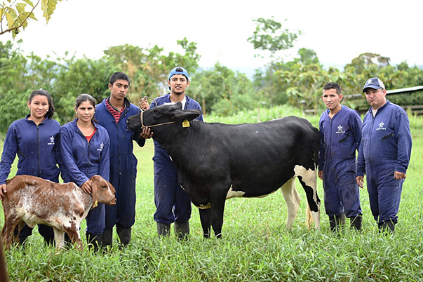 Con el SENA se fortalece la ganadería en Caquetá