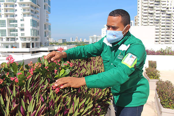 En 2021, a la fecha, 153 jardineros se han certificado en SENA Bolívar en la norma ‘Corte de Césped’. 