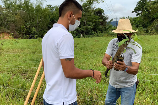 La Granja Amazónica se ha convertido en el escenario donde los aprendices realizan actividades agropecuarias 