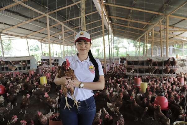 La Granja Avícola Yemax S.A.S, se dedica a la producción y comercialización de huevos de gallina, empresa creada con recursos