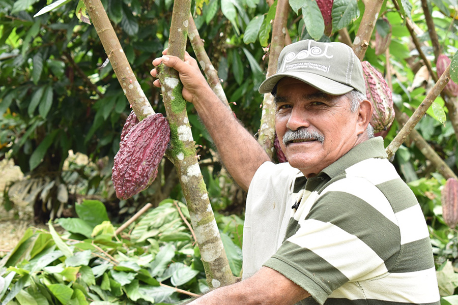 La experiencia de cerca de 7.500 campesinos ha sido reconocida y certificada por CampeSENA en todas las regiones de Colombia.