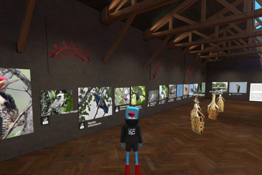 La Regional Vaupés del SENA presenta el museo virtual que permite a los internautas interactuar y aprender sobre las maravillas 