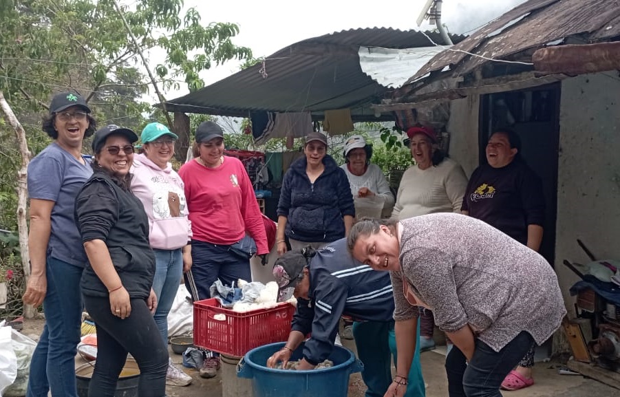 Asociación hilos de Oro, Vetas Santander-27824