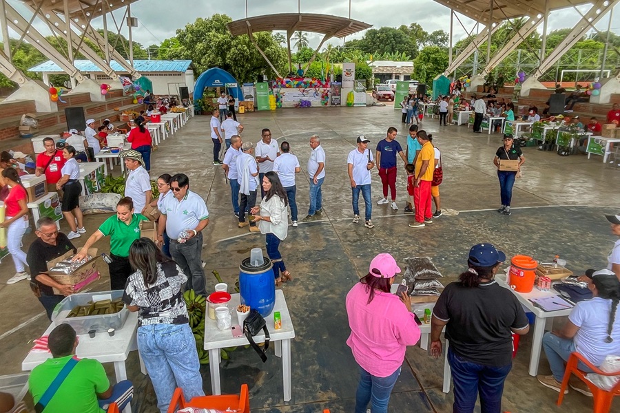 MERCADO CURUMANÍ 1-27824